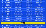 关于欧洲顶级职业联赛赛程紧凑，各队士气高涨的信息